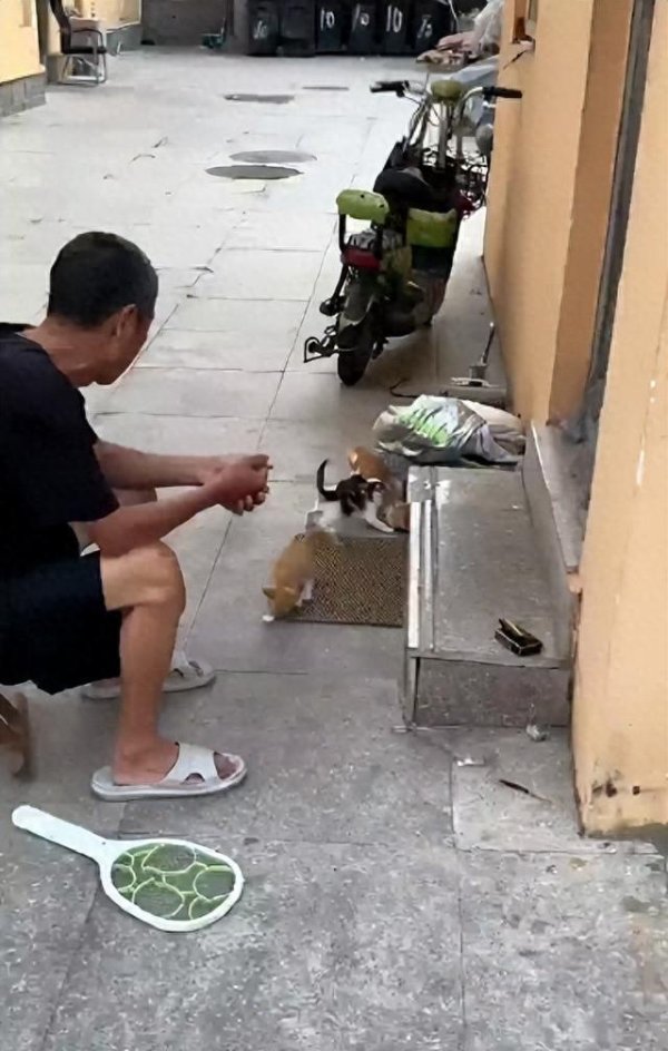 众盈易配 宿管大爷值班室疑中暑离世，有学生热得受不了网购冰块；青岛大学：暑假将装7000多台空调