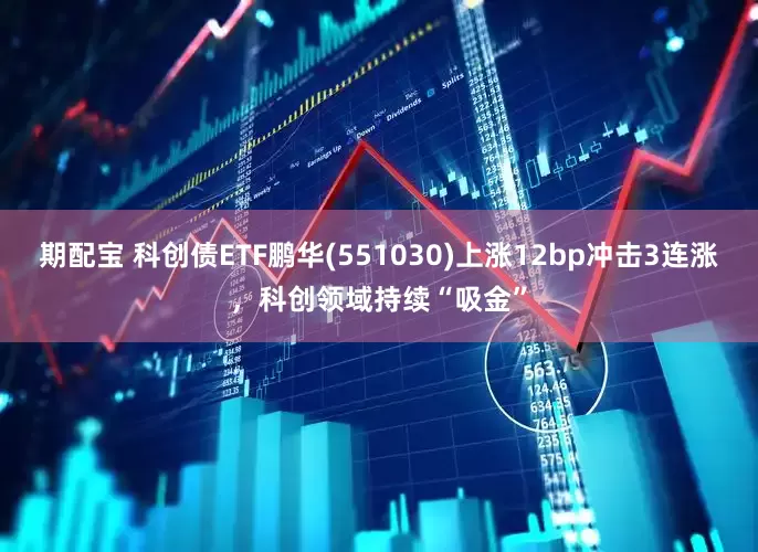 期配宝 科创债ETF鹏华(551030)上涨12bp冲击3连涨，科创领域持续“吸金”
